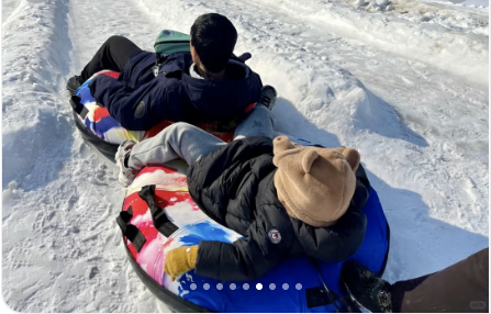 WowCool Snow Park rides and animal interactions